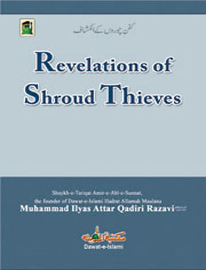 Revelations of Shroud Thieves