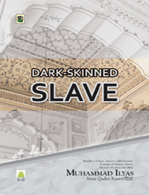 Dark-Skinned Slave